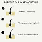 EELHOE™ Natural Haar Öl